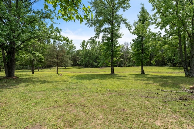 947 Cemetery Rd, Alma, AR 72921 - view of grassy yard