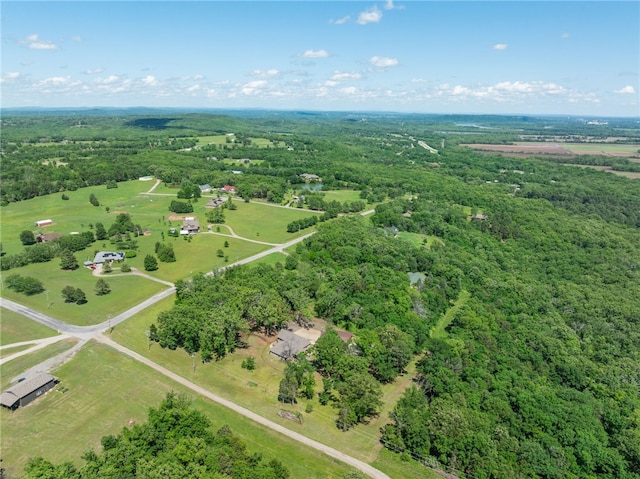 480124 E 1082nd Rd, Muldrow, OK 74948 - drone / aerial view of a forest