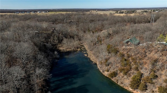 22283 N Log Cabin Dr, Sulphur Springs, AR 72768 - aerial view of property and surrounding area