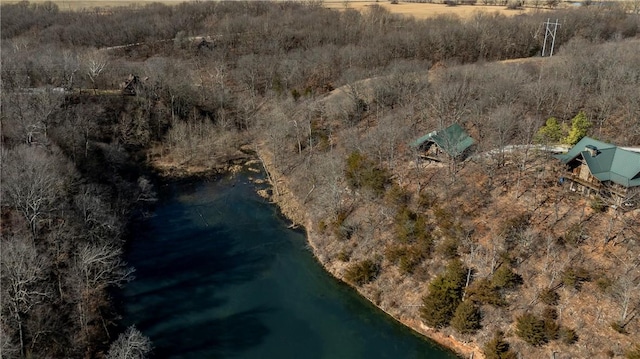 22283 N Log Cabin Dr, Sulphur Springs, AR 72768 - aerial view of property's location with a large body of water