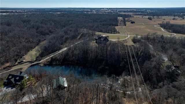 22283 N Log Cabin Dr, Sulphur Springs, AR 72768 - aerial view of property's location with a nearby body of water and a heavily wooded area