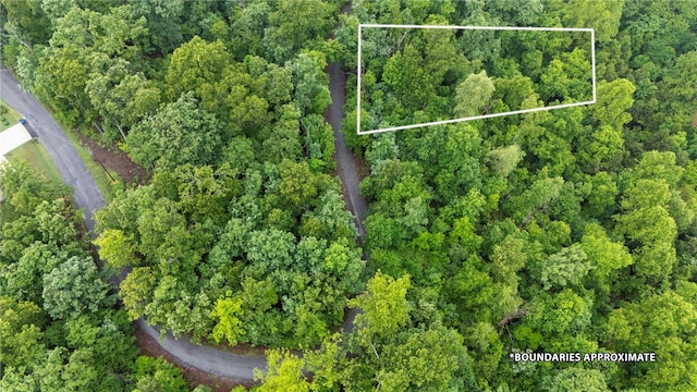 LOT27 Salen Ln, Bella Vista, AR 72715 - photo 3