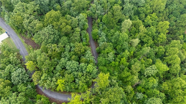 LOT27 Salen Ln, Bella Vista, AR 72715 - photo 6
