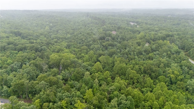LOT27 Salen Ln, Bella Vista, AR 72715 - photo 13