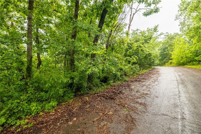 LOT27 Salen Ln, Bella Vista, AR 72715 - photo 17