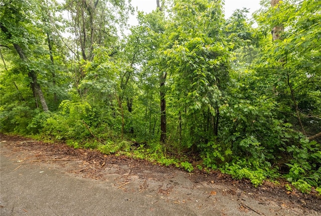 LOT27 Salen Ln, Bella Vista, AR 72715 - photo 18