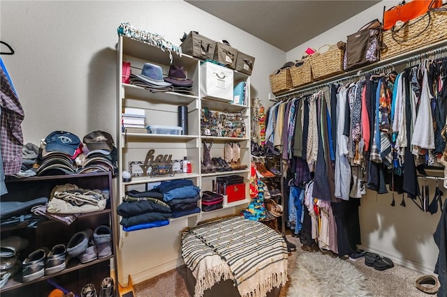 757 Harper Dr, Pea Ridge, AR 72751 - view of spacious closet