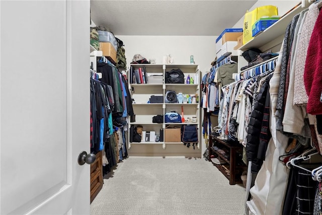 6401 S 42nd St, Rogers, AR 72758 - spacious closet featuring carpet