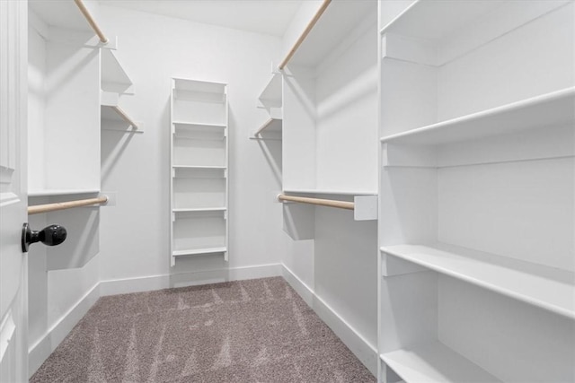 1265 Cassia, Tontitown, AR 72762 - walk in closet with carpet flooring