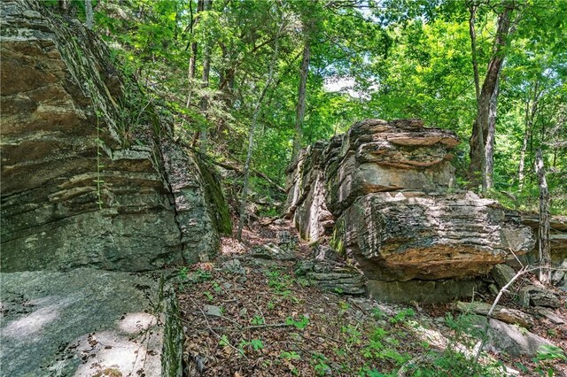 10050 S Smokey Bear Rd, Fayetteville, AR 72701 - photo 55