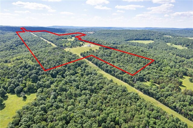 10050 S Smokey Bear Rd, Fayetteville, AR 72701 - photo 58