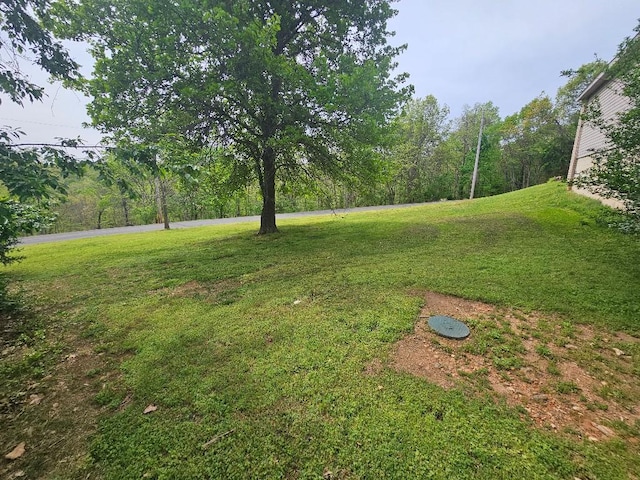 3 Rhonda Ln, Bella Vista, AR 72715 - view of grassy yard