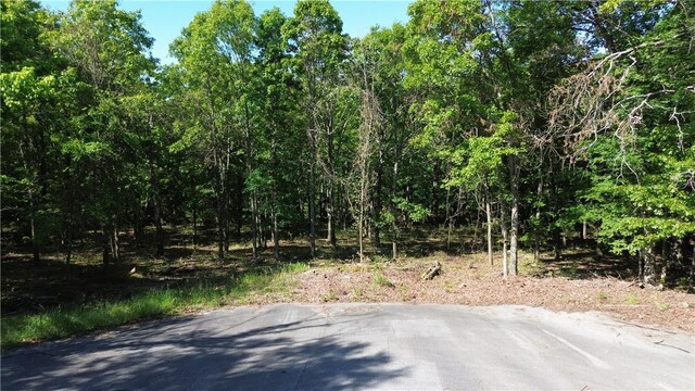 LOT7 Autumn Vw, Fayetteville, AR 72704 - photo 1
