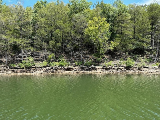 0 Hannah Ln, Eureka Springs, AR 72631 - photo 1