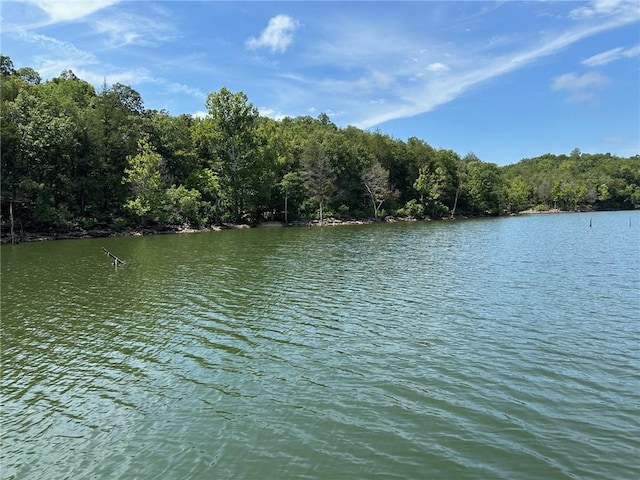 0 Hannah Ln, Eureka Springs, AR 72631 - photo 2