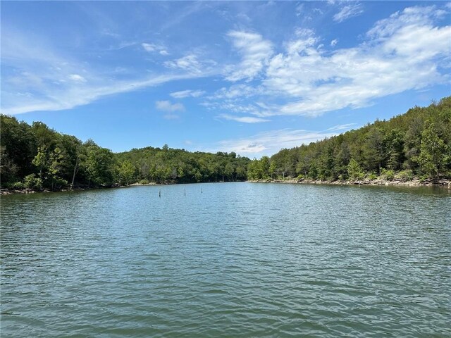 0 Hannah Ln, Eureka Springs, AR 72631 - photo 3