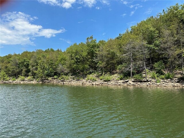 0 Hannah Ln, Eureka Springs, AR 72631 - photo 4