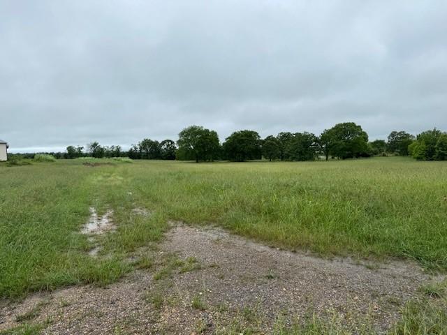 17691 E Holt, Lincoln, AR 72744 - photo 4