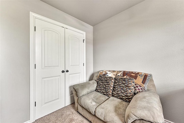 811 SW Pure Globe St, Bentonville, AR 72712 - living area featuring carpet floors