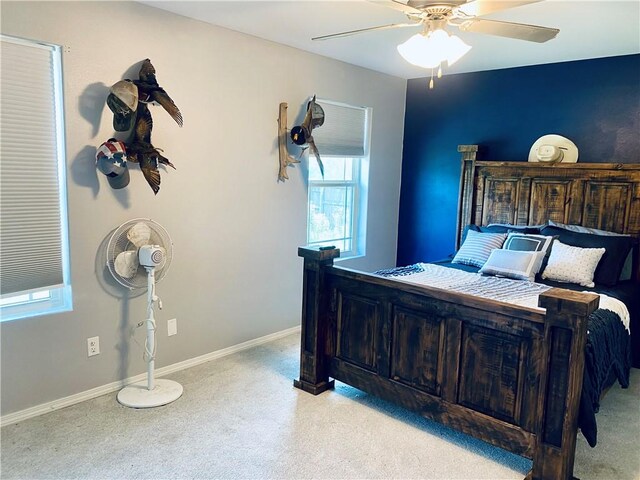 100 Spring Creek Dr, Dardanelle, AR 72834 - photo 8