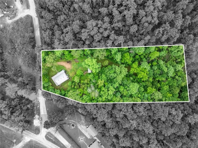 14090 Canal St, Rogers, AR 72758 - aerial view of property's location with property parcel outlined