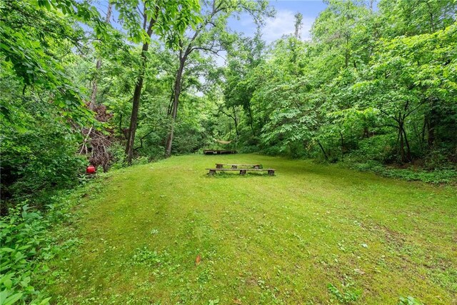 14090 Canal St, Rogers, AR 72758 - view of green lawn featuring a view of trees
