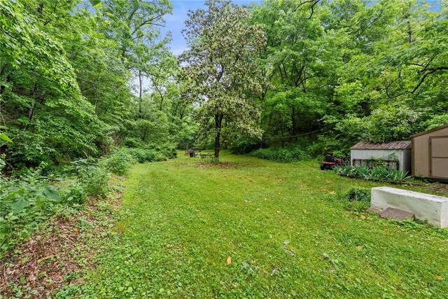 14090 Canal St, Rogers, AR 72758 - view of green lawn