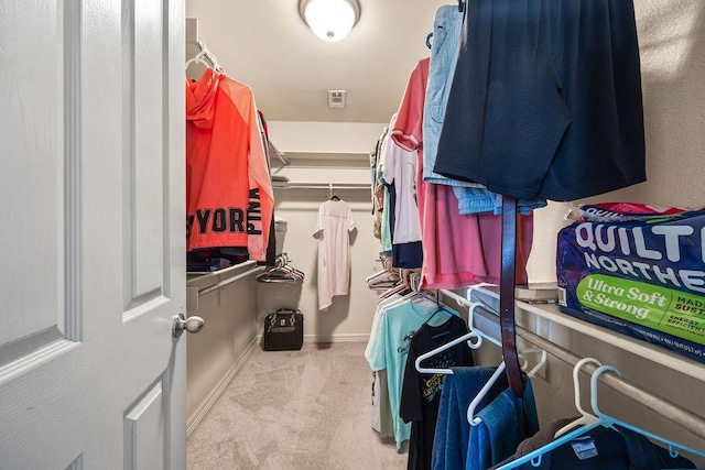 809 Irelan, Lowell, AR 72745 - spacious closet featuring carpet