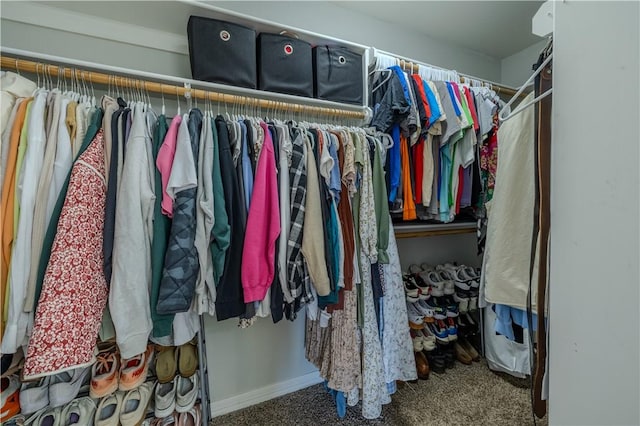 411 Kate Dr, Centerton, AR 72719 - walk in closet featuring carpet