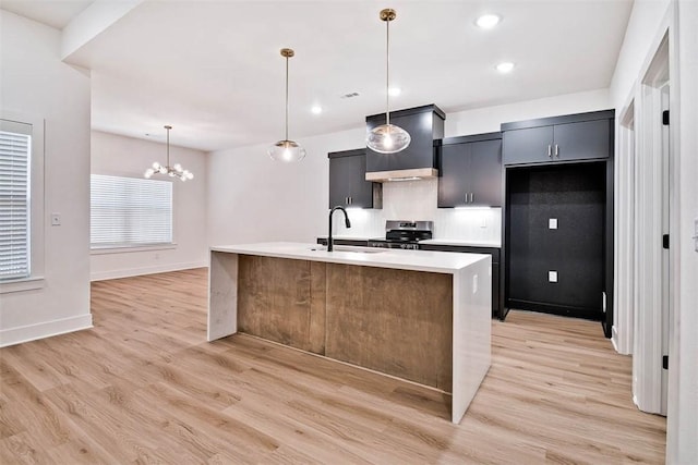 1 Consett Ln, Bella Vista, AR 72714 - kitchen with a sink, stainless steel stove, light wood-type flooring, light countertops, and premium range hood