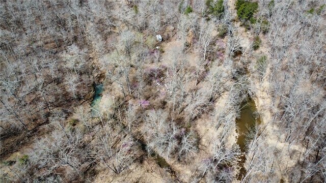 Holly Mountain Rd, Clinton, AR 72031 - photo 22