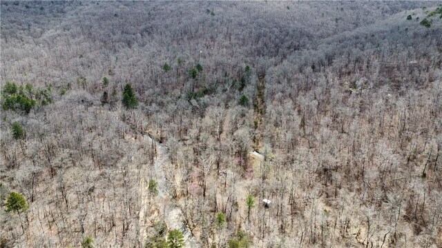 Holly Mountain Rd, Clinton, AR 72031 - photo 23