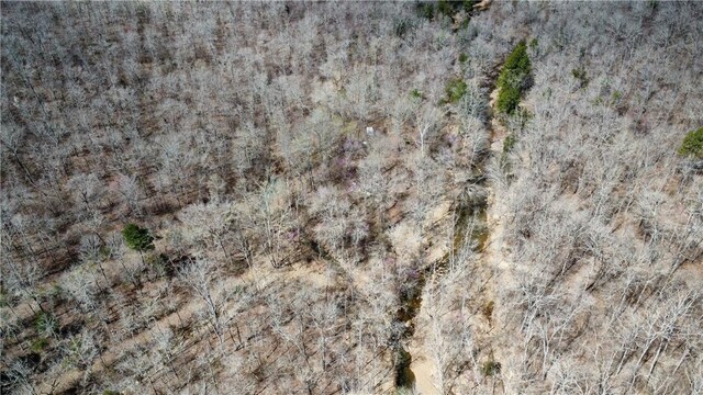 Holly Mountain Rd, Clinton, AR 72031 - photo 24