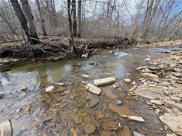 Holly Mountain Rd, Clinton, AR 72031 - photo 25