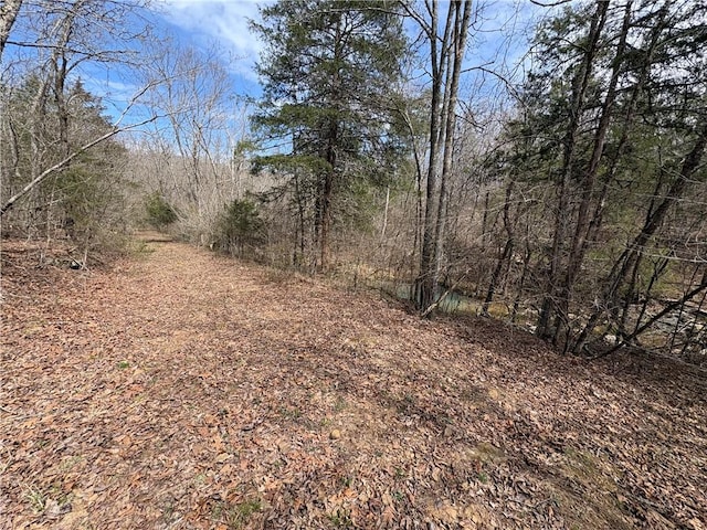 Holly Mountain Rd, Clinton, AR 72031 - photo 26