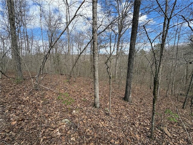 Holly Mountain Rd, Clinton, AR 72031 - photo 28