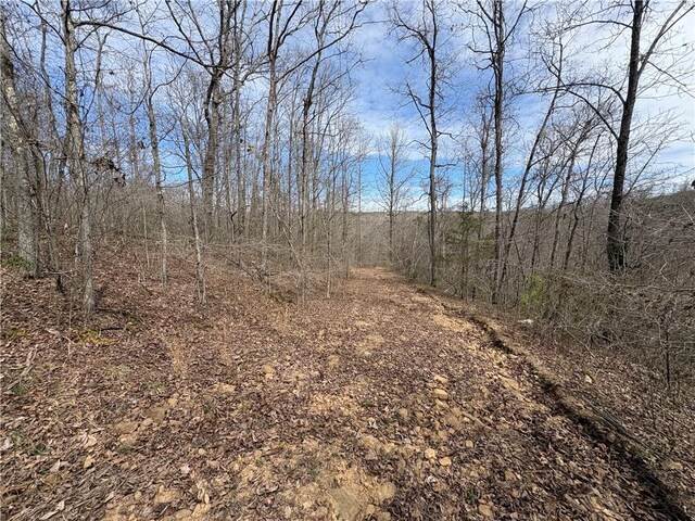 Holly Mountain Rd, Clinton, AR 72031 - photo 31
