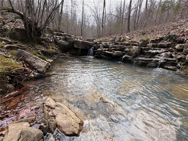 Holly Mountain Rd, Clinton, AR 72031 - photo 32