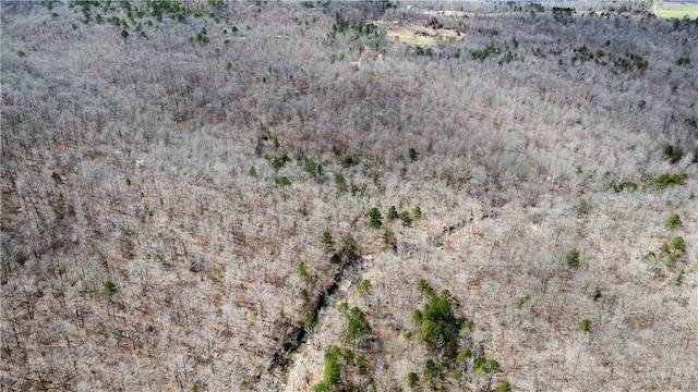 Holly Mountain Rd, Clinton, AR 72031 - photo 33