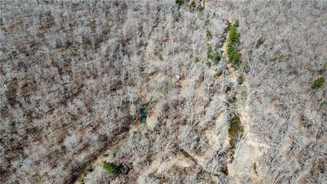 Holly Mountain Rd, Clinton, AR 72031 - photo 34