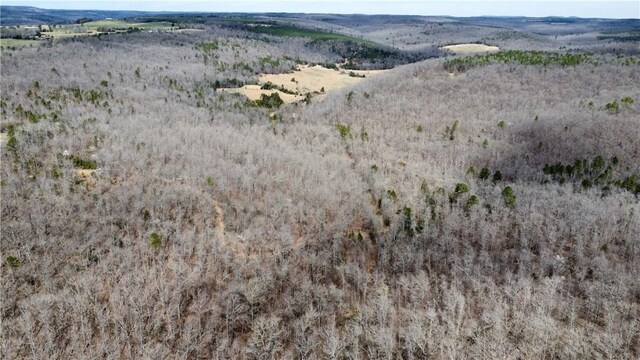 Holly Mountain Rd, Clinton, AR 72031 - photo 35