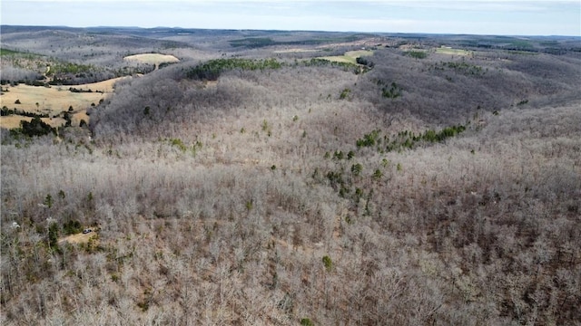 Holly Mountain Rd, Clinton, AR 72031 - photo 1