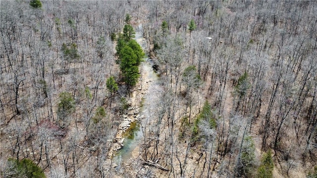 Holly Mountain Rd, Clinton, AR 72031 - photo 2