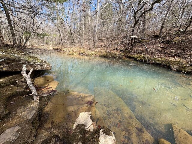 Holly Mountain Rd, Clinton, AR 72031 - photo 3