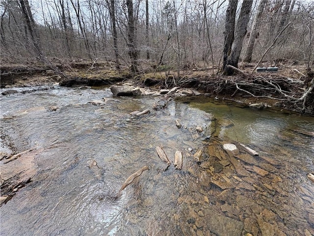 Holly Mountain Rd, Clinton, AR 72031 - photo 4