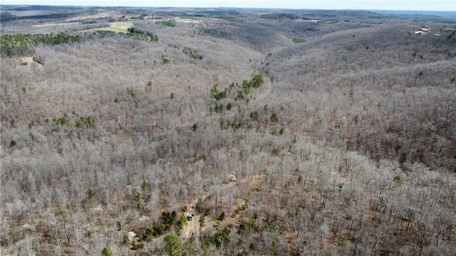 Holly Mountain Rd, Clinton, AR 72031 - photo 7