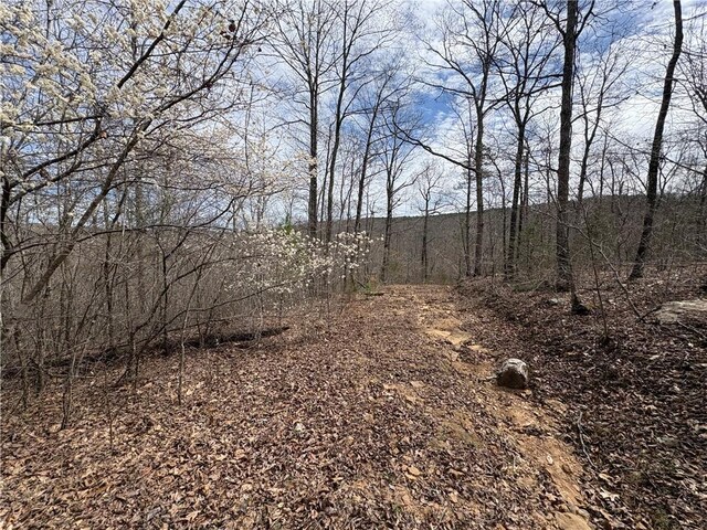 Holly Mountain Rd, Clinton, AR 72031 - photo 8