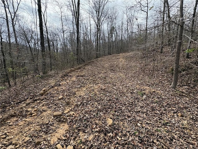 Holly Mountain Rd, Clinton, AR 72031 - photo 9