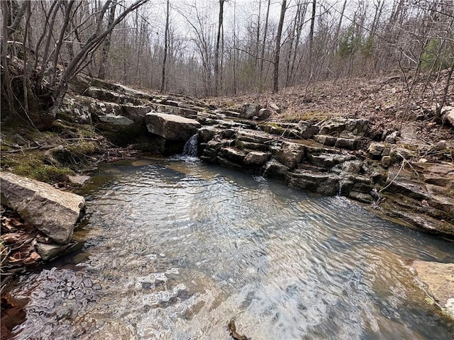 Holly Mountain Rd, Clinton, AR 72031 - photo 10