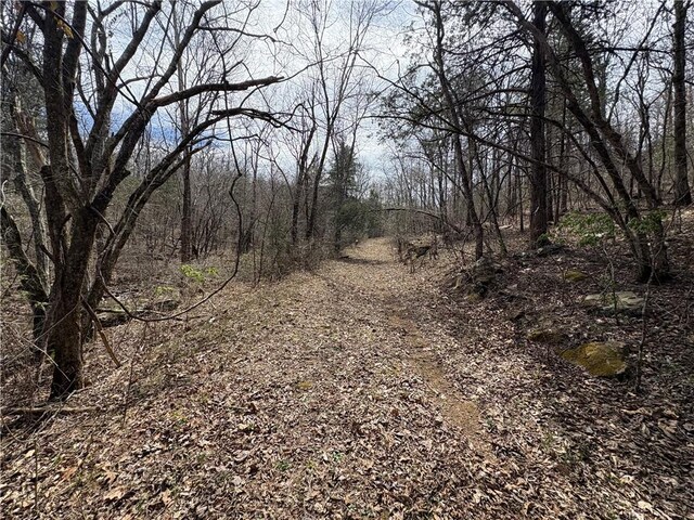 Holly Mountain Rd, Clinton, AR 72031 - photo 11